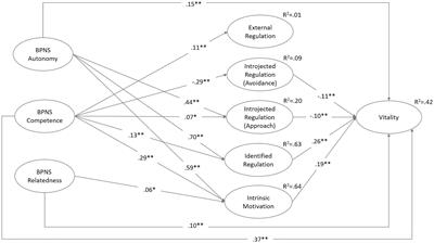 University Students’ Basic Psychological Needs, Motivation, and Vitality Before and During COVID-19: A Self-Determination Theory Approach